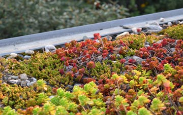 the cost of Delph green roof installation