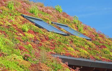 Delph living roof systems