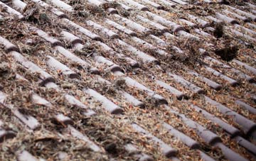 Delph roof cleaning companies